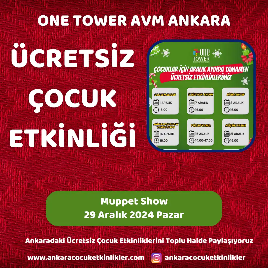 one tower avm 29 aralik Muppet Show