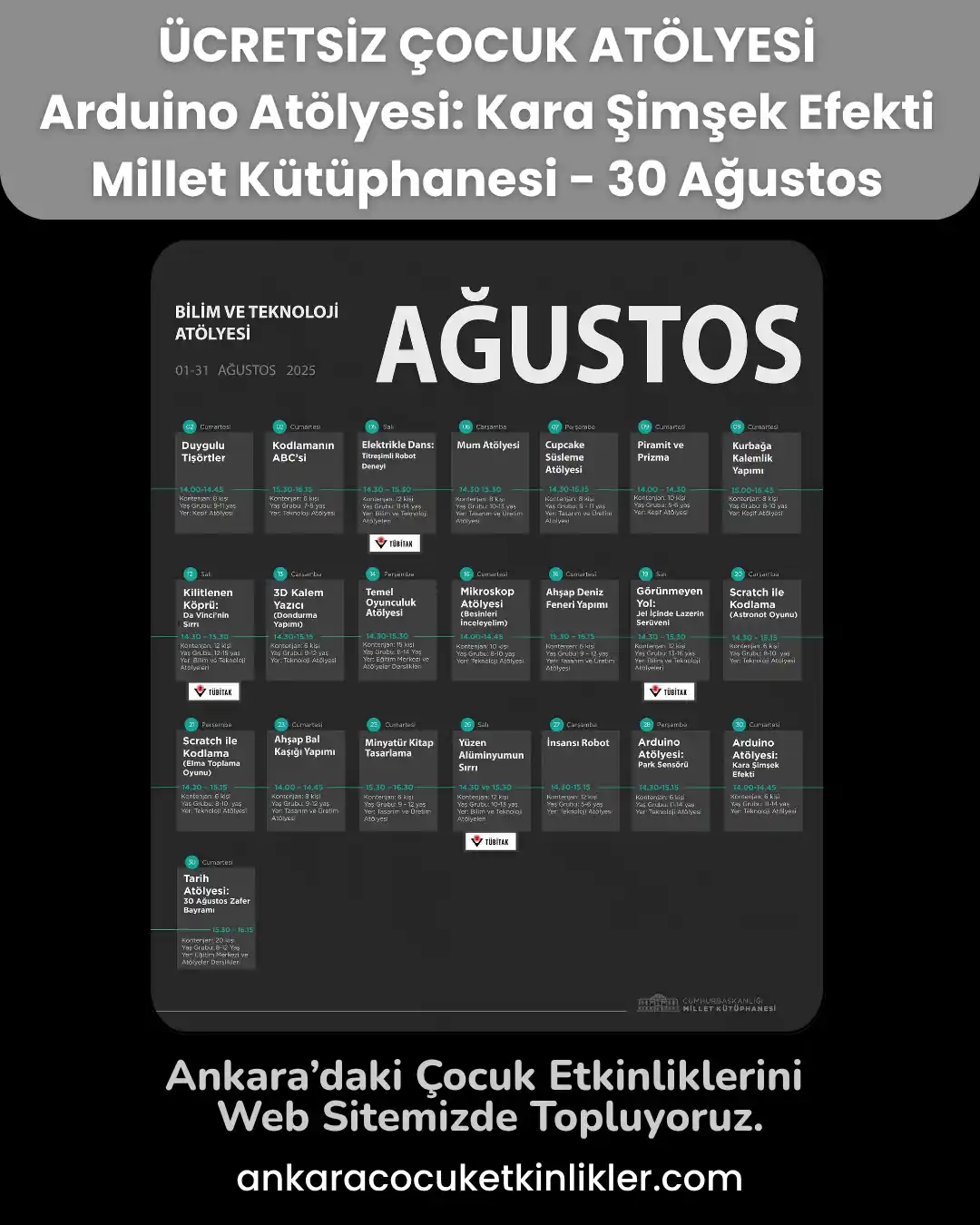 millet kutuphanesi 30 agustos Arduino Atolyesi Kara Simsek Efekti