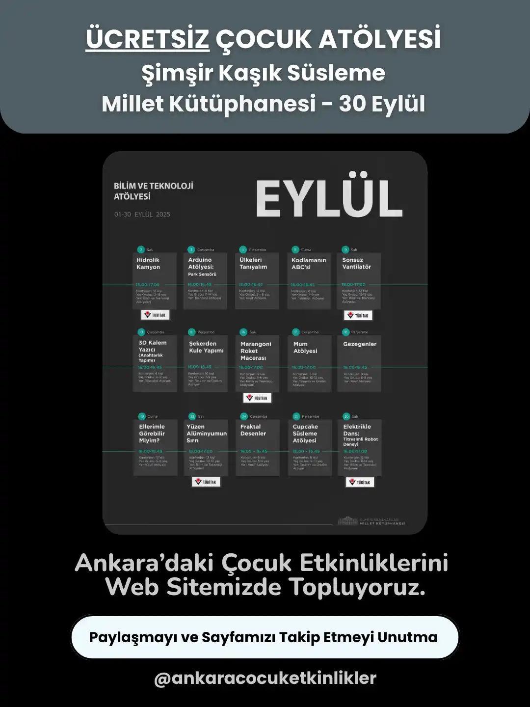 millet kutuphanesi 30 eylul Simsir Kasik Susleme
